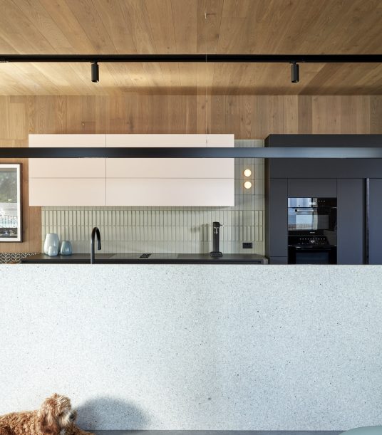 Tim+Stewart+Architects+-+Brisbane+-+Uxbridge+(21)